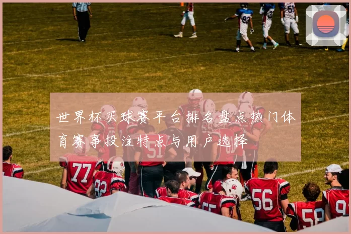 世界杯买球赛平台排名盘点热门体育赛事投注特点与用户选择