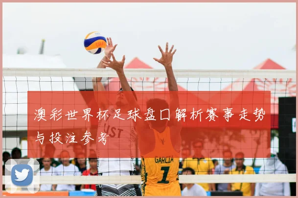 澳彩世界杯足球盘囗解析赛事走势与投注参考