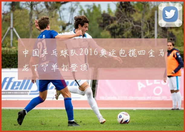 中国乒乓球队2016奥运包揽四金马龙丁宁单打登顶