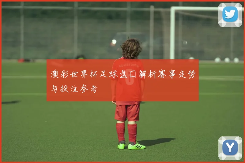 澳彩世界杯足球盘囗解析赛事走势与投注参考